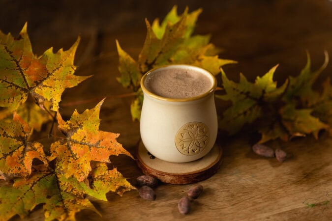 75 percent dark chocolate mug