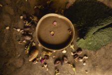 Xochicacahuatl Flowered Chocolate Cacao Elixir